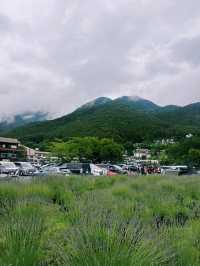 🏕️ 河口湖夢幻豪華露營體驗 ✨｜富士山 Glamping Terrace 峯之花（MINENOHANA）