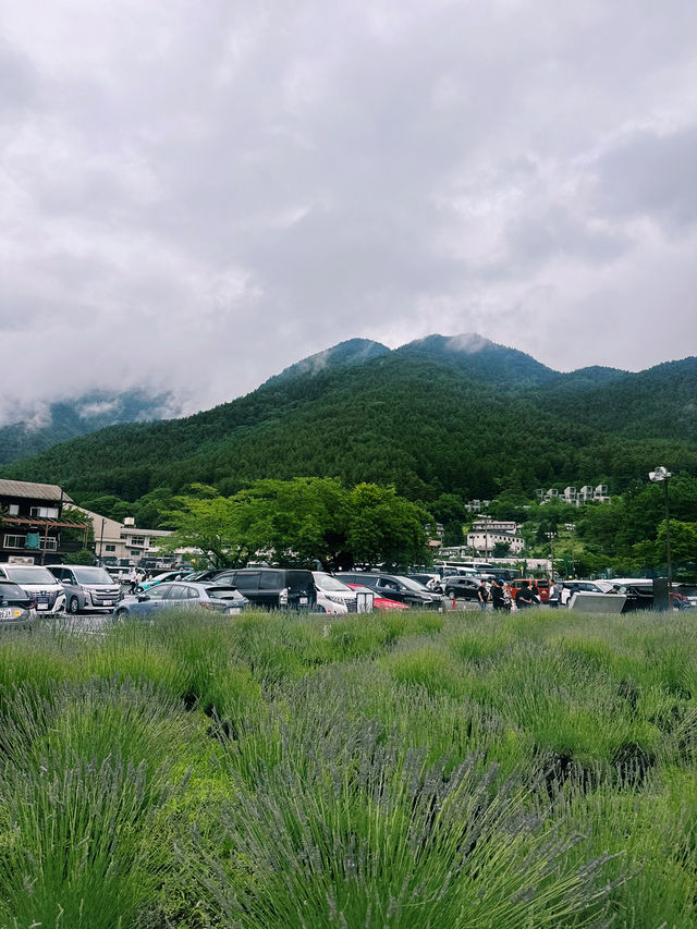 🏕️ 河口湖夢幻豪華露營體驗 ✨｜富士山 Glamping Terrace 峯之花（MINENOHANA）
