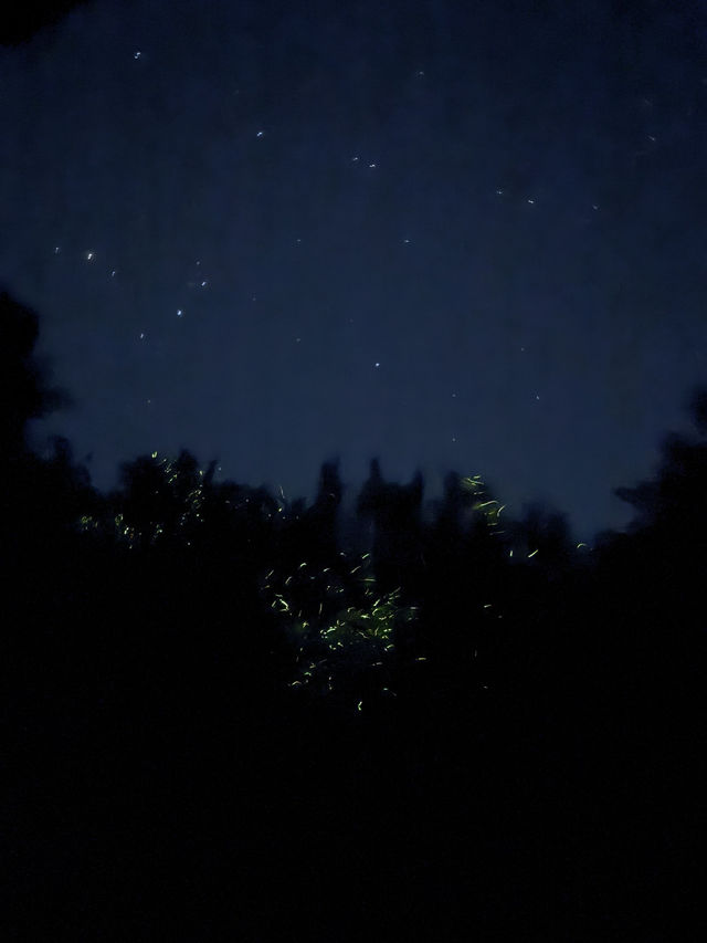 Discover Nature Magic at Naga🌳🌋💦 Discover Nature Magic at Naga🌳🌋💦