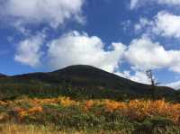 紅葉の絶景!青森・八甲田大岳で味わう秋の天空トレッキング