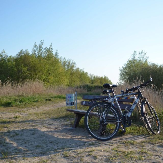 Wampen strand… Hidden coast of Greifswald