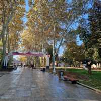 🌳🌸 Exploring the Serene Beauty: Gulhane Park 🌸🌳


