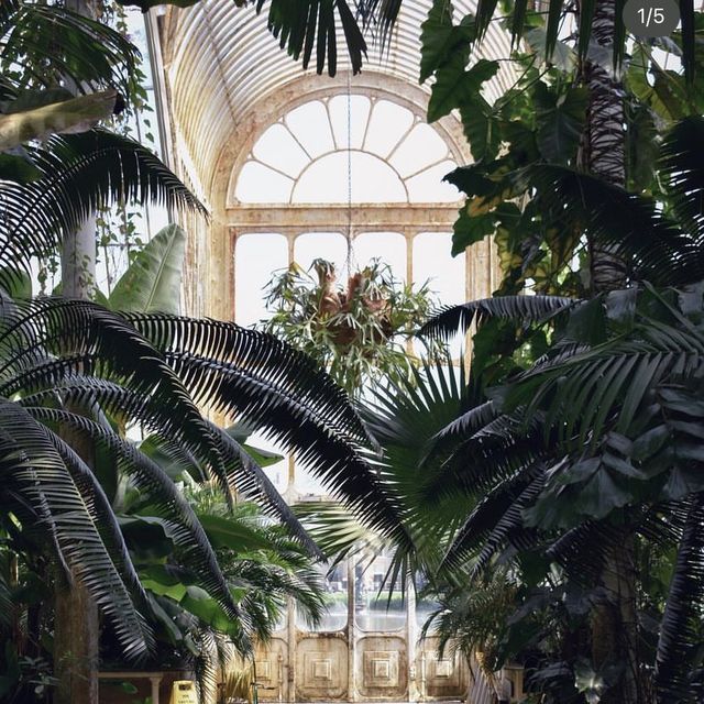 Kew Gardens: A Botanical Paradise