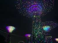 去新加坡最不能錯過- 打卡Garden By The Bay
