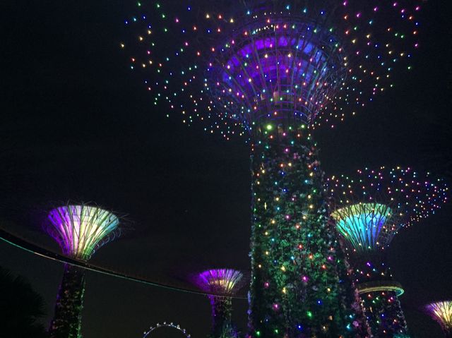 去新加坡最不能錯過- 打卡Garden By The Bay