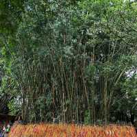 Buddhasubba - Religious place of Dharan 