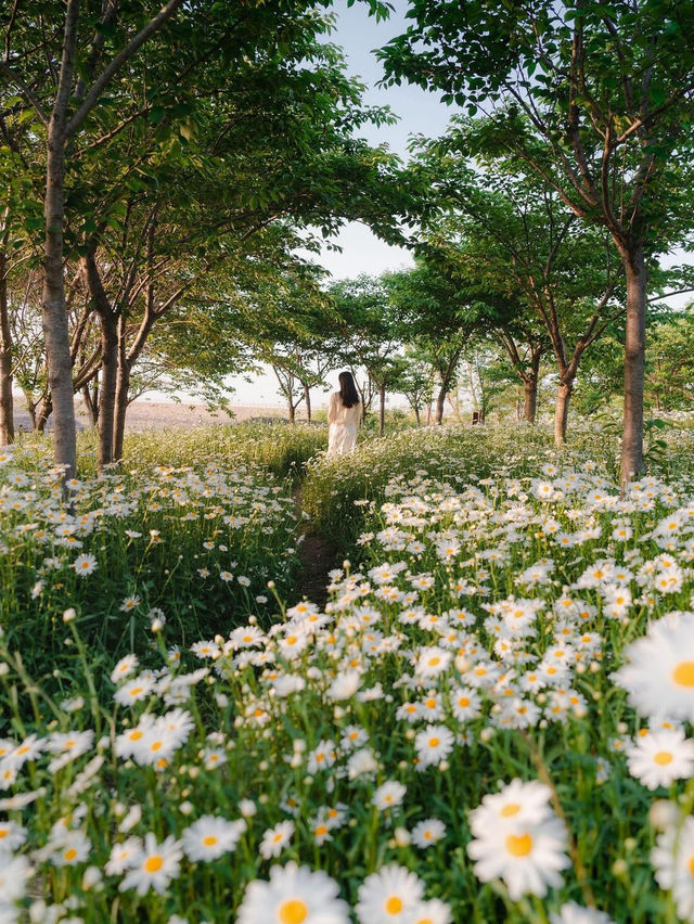 변산마실길 5코스 (모항 갯벌 체험길)