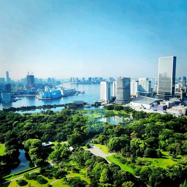 🌸東京康萊德酒店🌸飽覽東京海灣美景