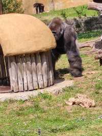 Great family trip at the zoo 🇫🇷