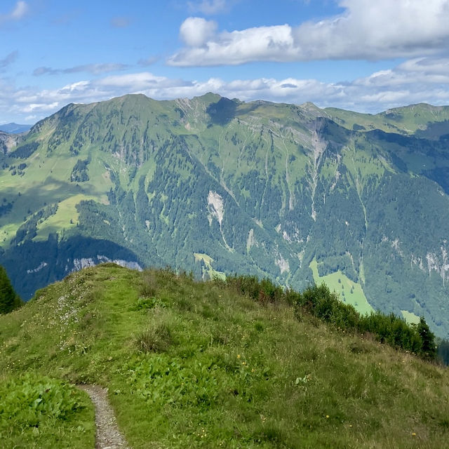 A Hidden Gem for Hiking Enthusiasts 🌲