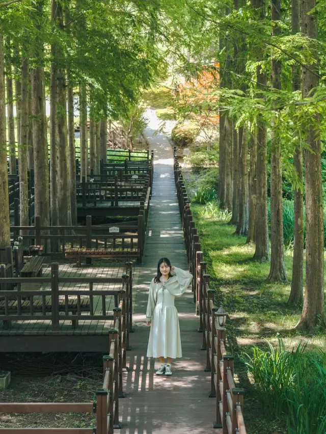 청남대 티켓 할인, 운영 시간, 후기 [2025년] | Trip.com