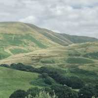 Into the Valley: Scenic Drives and Endless Views