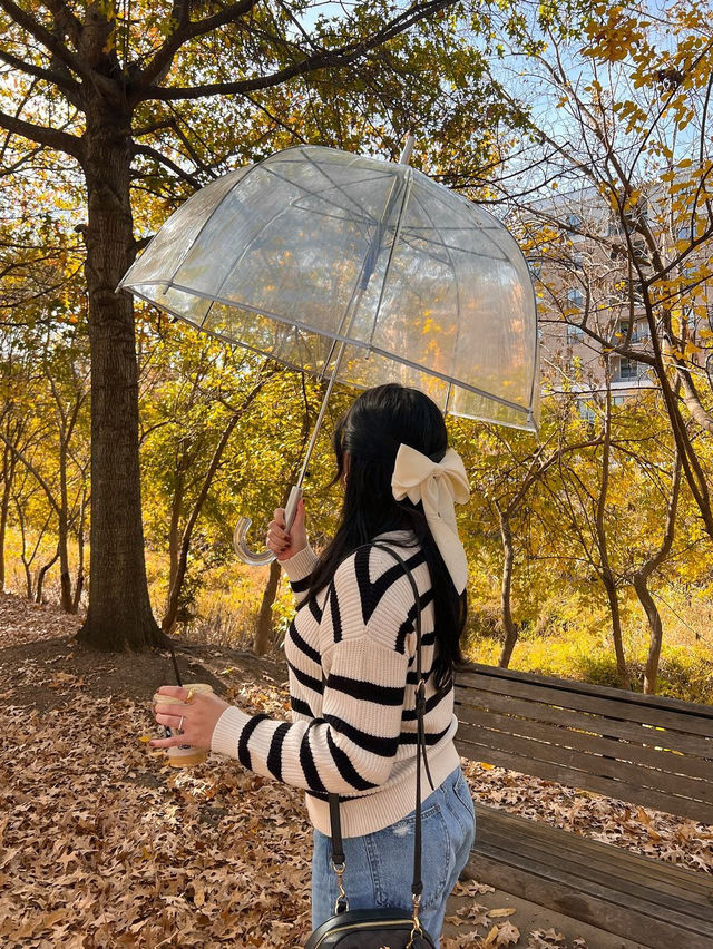 가을의 샬럿 탐험 🍁