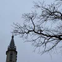 Autumn Charms of Alexandria: A Day by the Bay in Peterhof