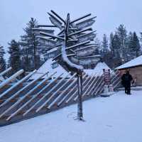 The Lapland experience for adults