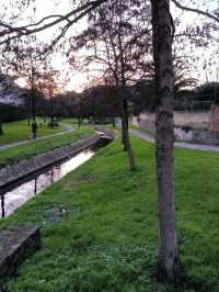 🌳 Gijón’s Green Escapes! 🌿🚶