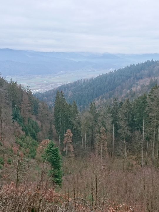 🌿 Exploring the Hills Around Freiburg