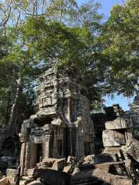 In the footsteps of Lara Croft! 