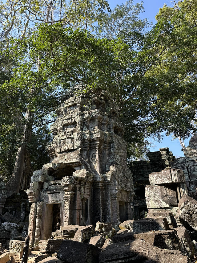 In the footsteps of Lara Croft! 