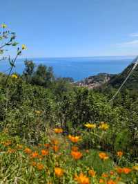 Above Taormina 