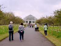 London’s Springtime Magic at Kew Gardens