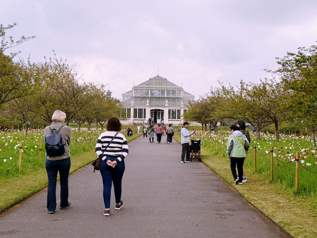 London’s Springtime Magic at Kew Gardens