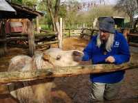 Place for animal lovers in Christchurch