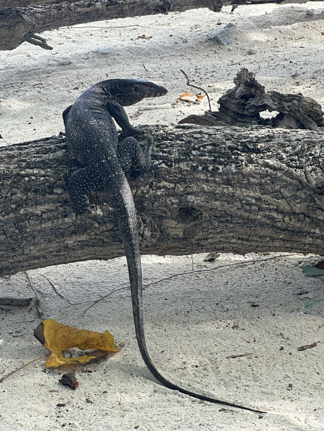 2-days escape from urban life: Racha Island
