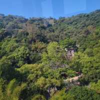 Baiyun Mountain: Where Clouds Kiss the Earth ☁️🏞️