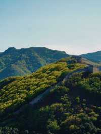 Greenery at the Great Wall