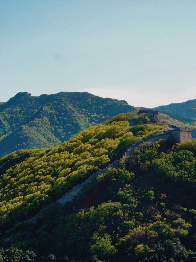 Greenery at the Great Wall