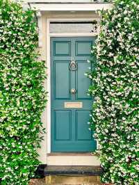 This is a spring jasmine 