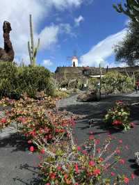 Let me tell on how Trip.com changed my Canary Islands journey