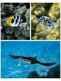 Maupiti: The Untouched Gem of Polynesia