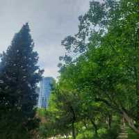 Tuanjiheu park, an excellent picnic spot