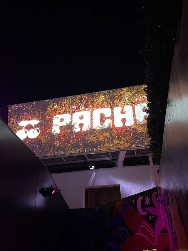 🎉 รีวิว Pacha Ibiza – คลับระดับตำนาน