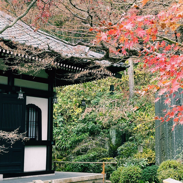 Escape Tokyo: Kamakura in a Day