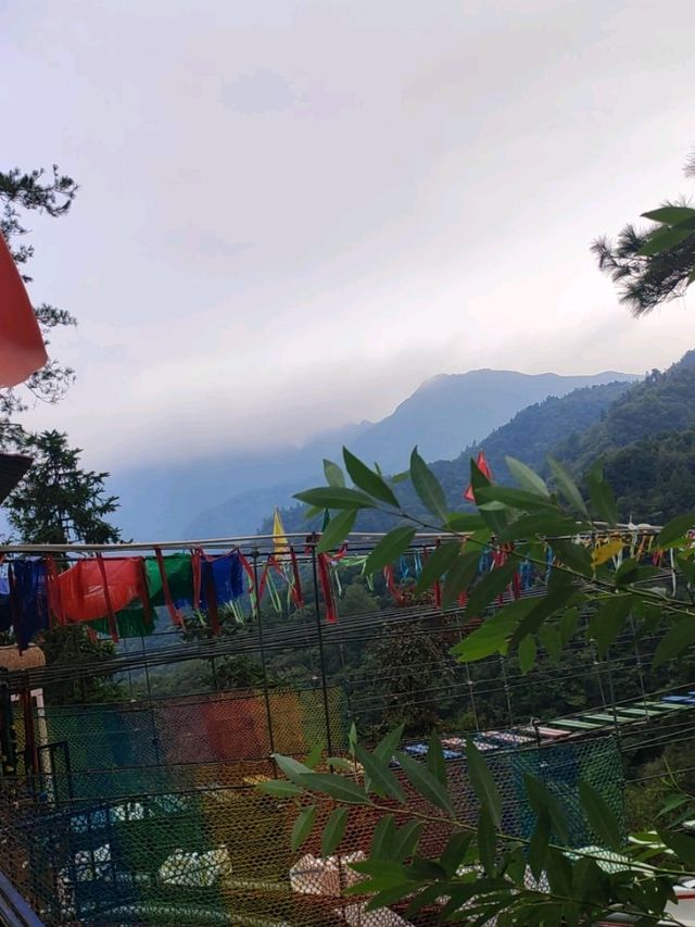 Into the Clouds🌫️