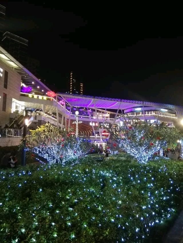 Shekou Sea World 🌟