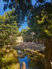 Exploring Bioparc Valencia: A Perfect Visit in Winter and Beyond