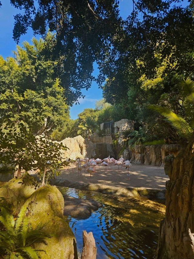 Exploring Bioparc Valencia: A Perfect Visit in Winter and Beyond