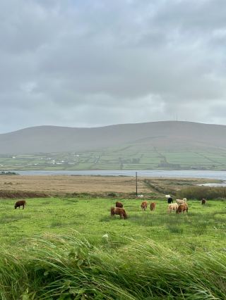 Ireland magic 🇮🇪 🍀 