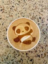 Giant Pandas in Chengdu! 🐼 