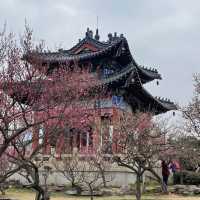 600年の眠りから蘇って来そうな石像にドッキリ、明孝陵