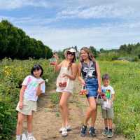 Harvesting Happiness: Fruits and Vegetables 