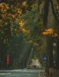 The autumn scenery in Hanoi, Vietnam is so romantic💕