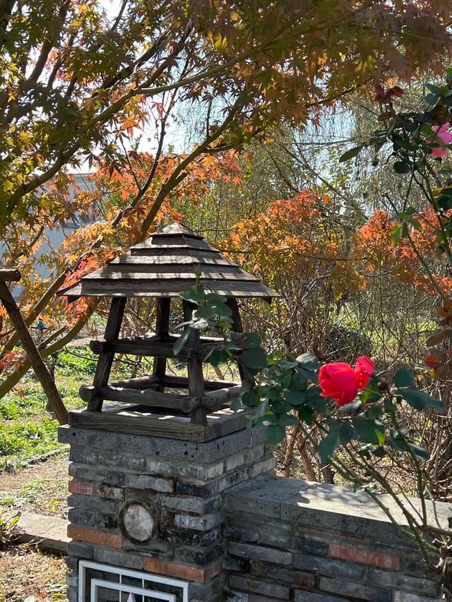 上海崇明的新農村
