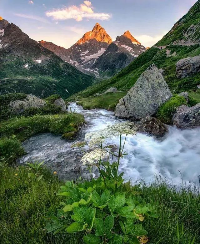 美麗的阿爾卑斯山