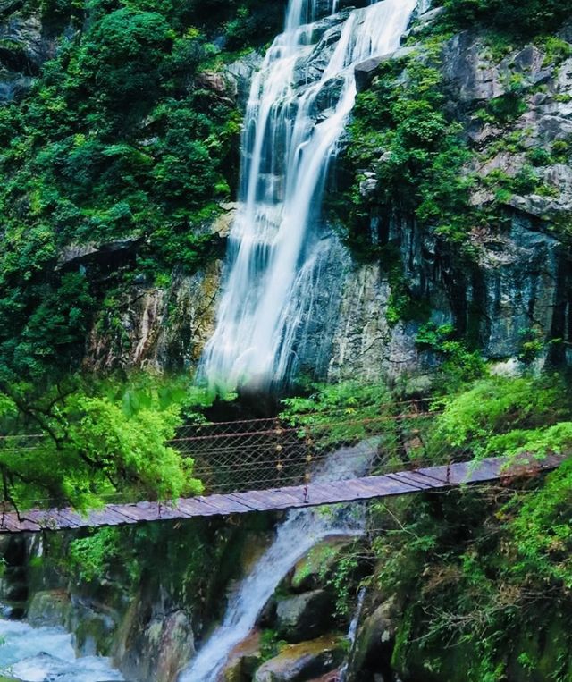 夏日避暑勝地，臥龍谷