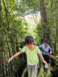 旅途中的快樂來自～屏邊瀑布、大圍山